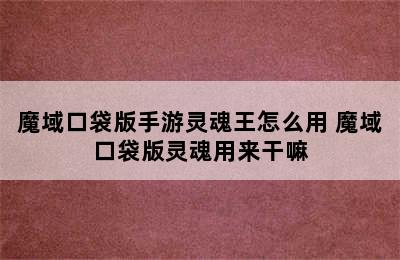 魔域口袋版手游灵魂王怎么用 魔域口袋版灵魂用来干嘛